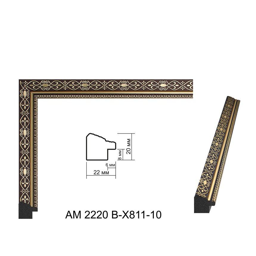 AM2220B-XB11-10